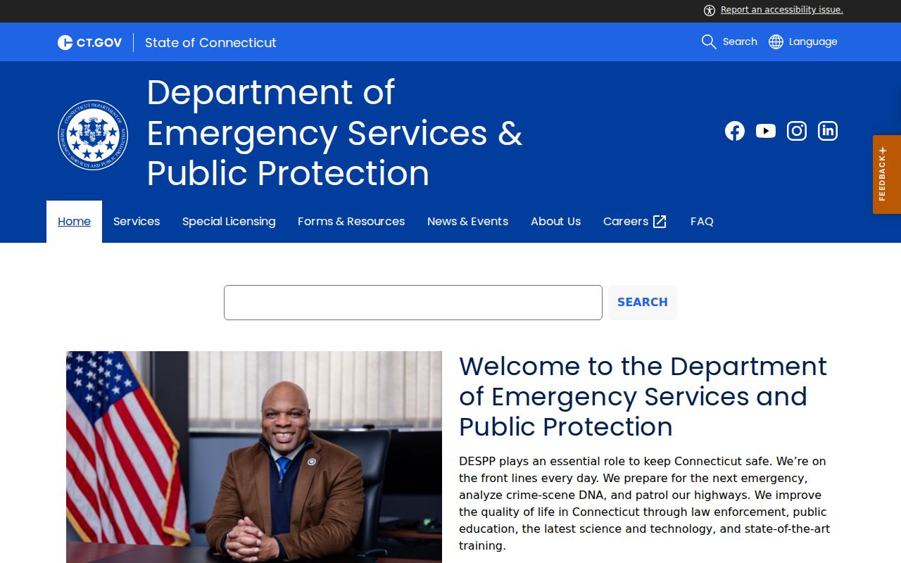 Tolland County criminal record types and DESPP services